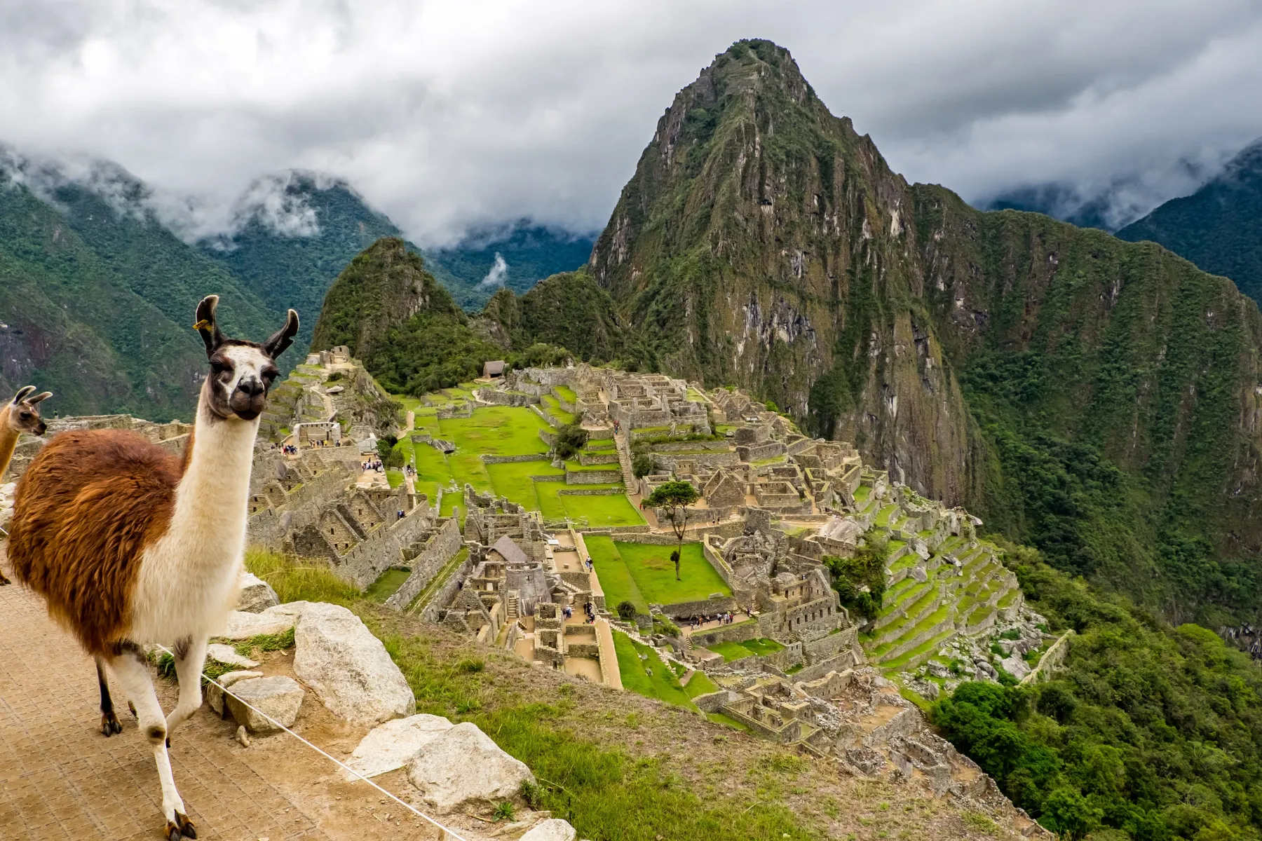 Perú conexión Inca Background