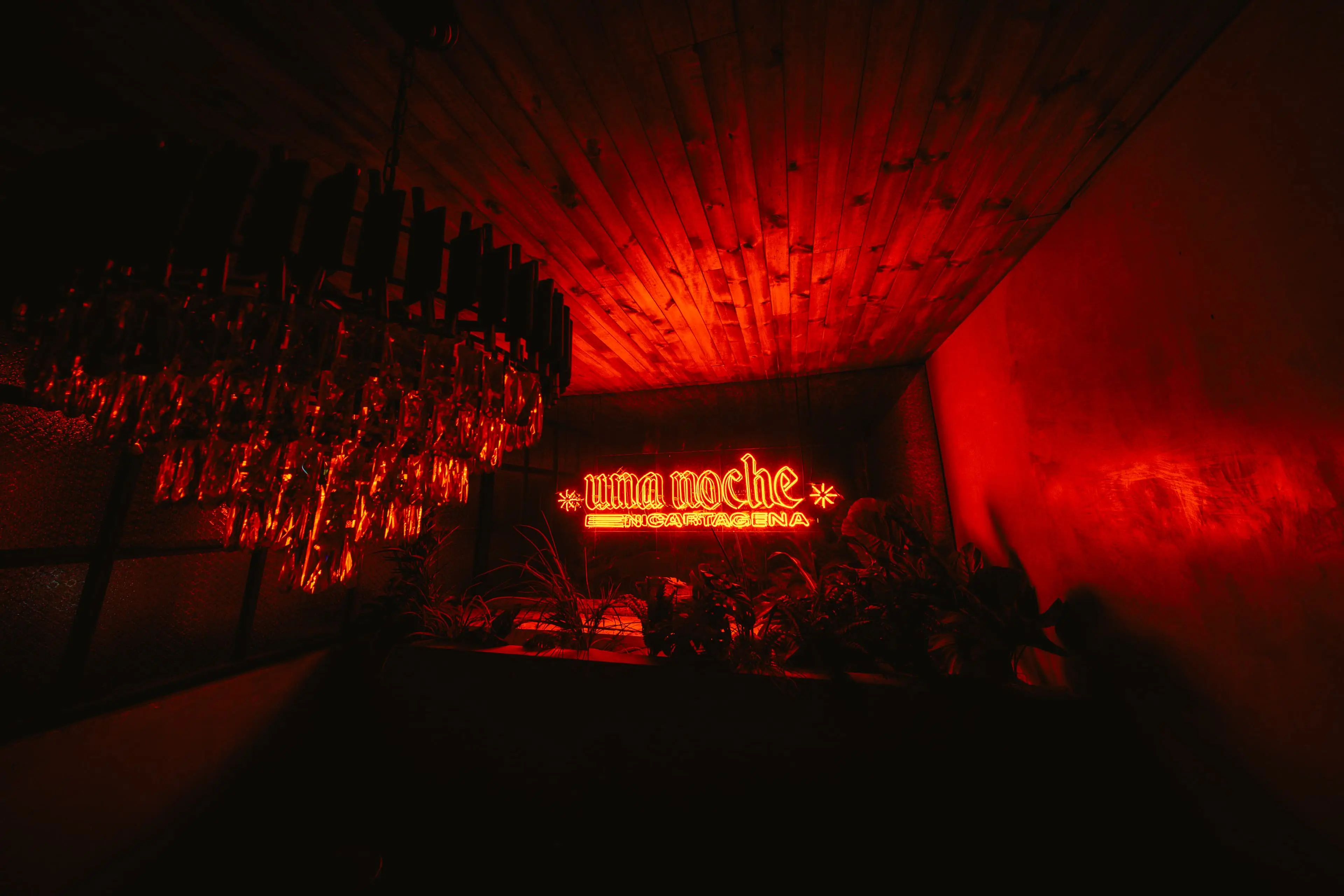Discoteca VIP