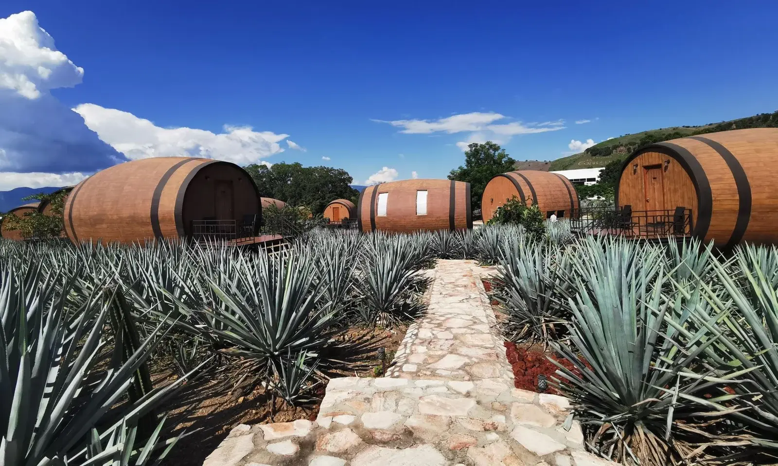 Visita destilerías de tequila en su lugar de origen