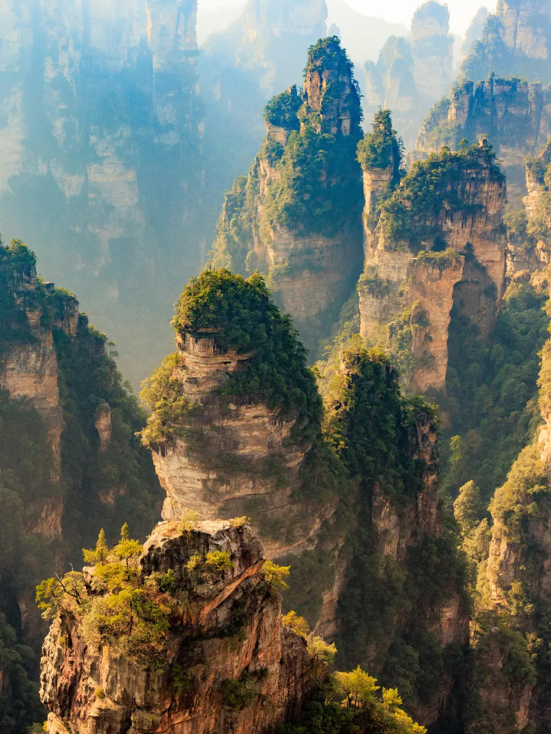 Explorarás el Parque Nacional Zhangjiajie (Inspiración de Avatar)