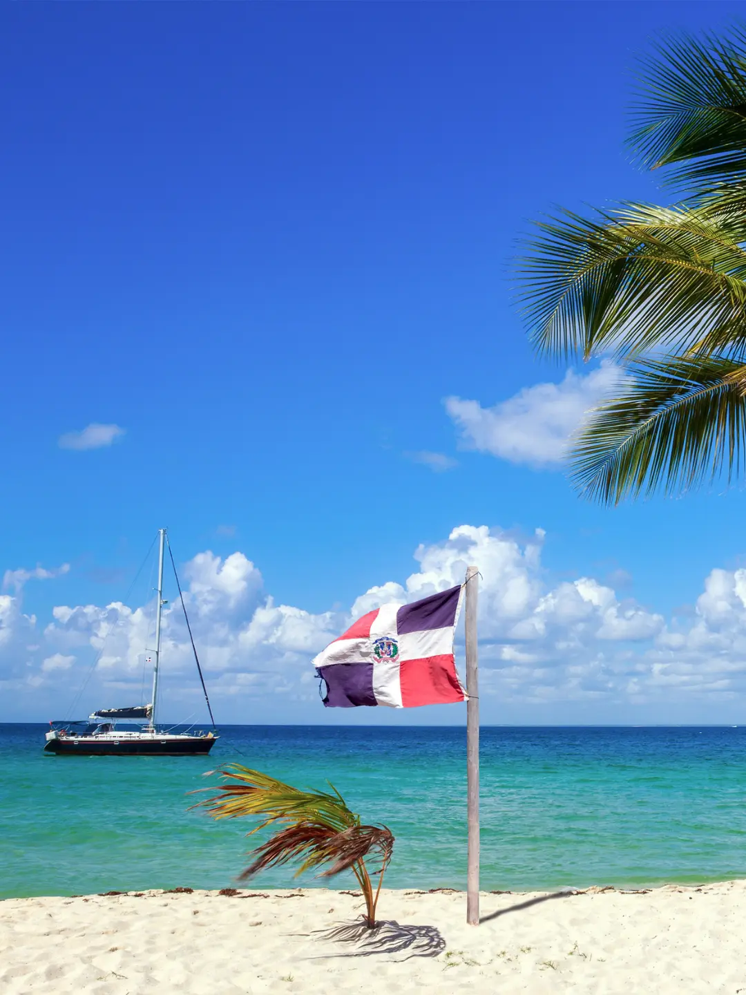 Disfruta del mejor tour de aventura a caballo en la playa más hermosa de Punta Cana. 