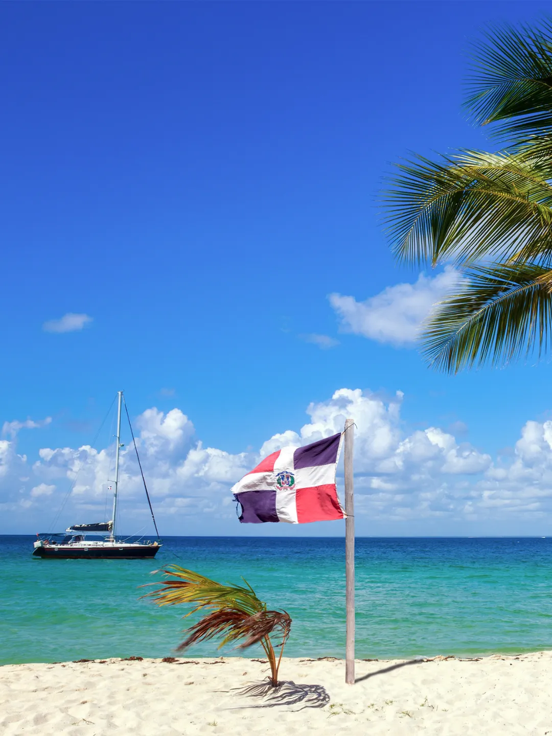 Aventura Tropical, República Dominicana Background